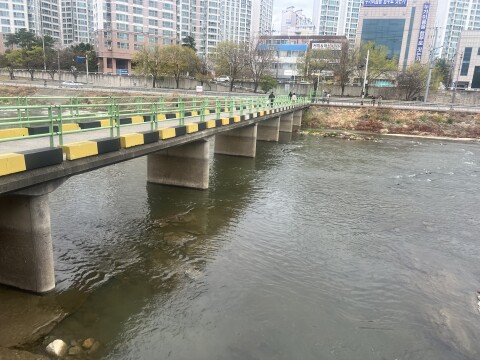 [속보] 대구 신천서 50대 여성 시신 캐리어 발견‥딸·사위 긴급체포