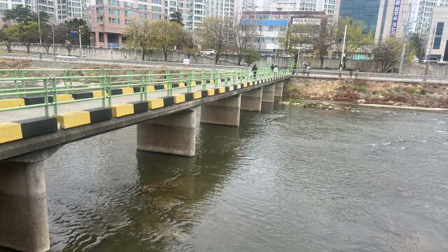 "대구 '캐리어 시신' 50대 여성, 사위 폭행으로 숨져"