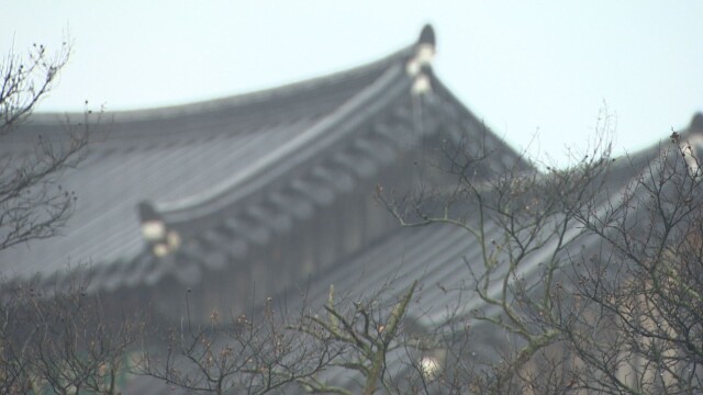 대구·경북 밤까지 가끔 비···목요일은 맑음