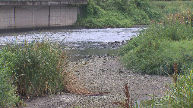 대구·경북 차차 흐리고 밤부터 비···낮 최고 18~22도