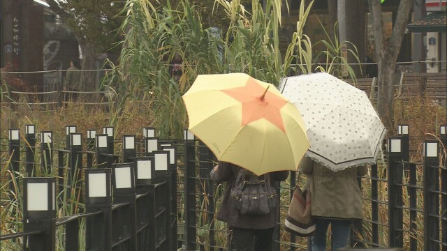 '비' 오후에 그칠 듯…식목일·청명인 일요일에는 가끔 구름 많음