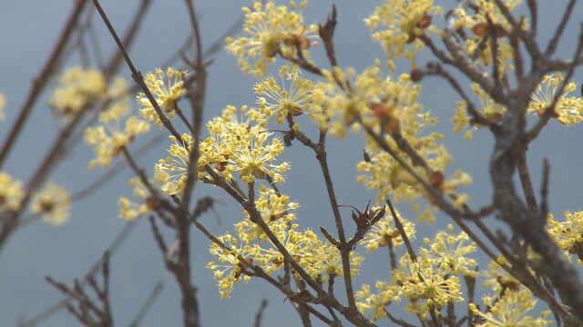 대구·경북 아침 기온 떨어져···낮 기온 대구 14도