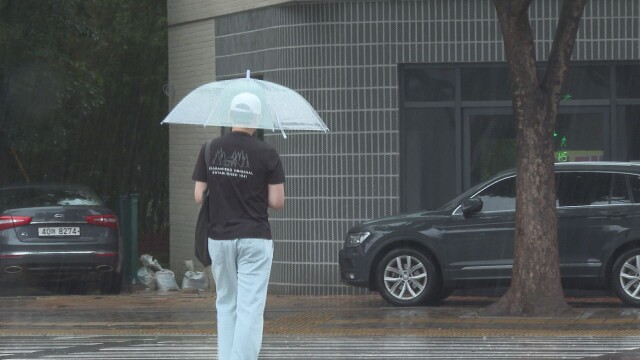 대구·경북 목요일 아침부터 20~60mm 비···돌풍·천둥번개 주의