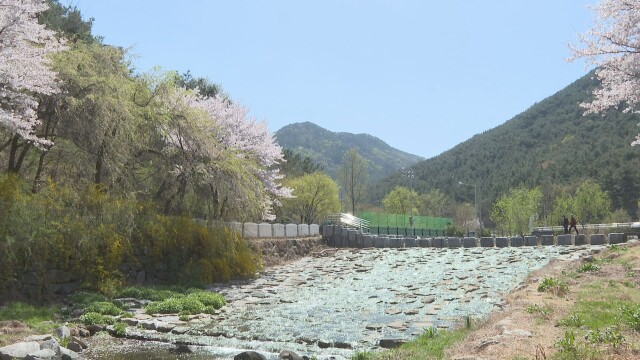 대구·경북 낮 기온 최고 25.6도, 당분간 일교차 크고 따뜻