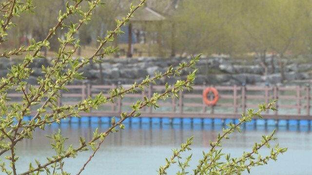 대구 낮 기온 23도까지…당분간 평년 기온 웃돌아