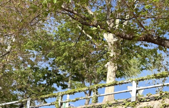 김천 24.8도, 대구 23도...평년 기온 웃도는 날씨 이어져