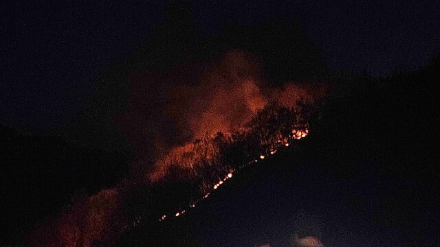 경북 상주시 화서면에 산불···1시간여 만에 진화