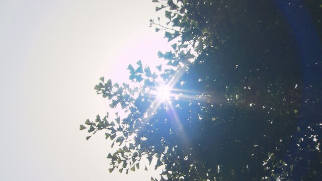 경북 김천 '29.3도' 2026년 들어 가장 더워···대구·경북 목요일 오후부터 흐림