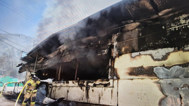 "용접하다가"···경북 영천 돼농장서 불