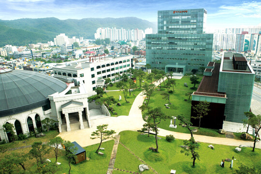 대구보건대, 글로벌 현장학습·파란 사다리·해외 일 경험 지원 사업 연속 선정