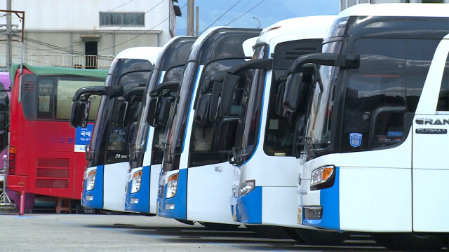 '반값 교통카드' 시행···경북, 2만 원대부터 환급