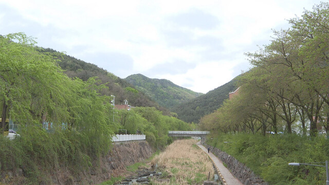 대구·경북 낮 최고 14~22도···바람 불고 일교차 큰 날씨