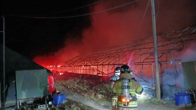 경북 의성 양계장 화재···병아리 1만 500여 마리 폐사