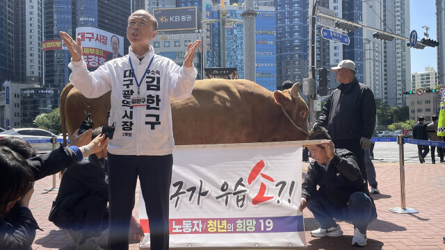 "대구가 우습소?!" 창녕 싸움소가 대구로 온 까닭은?···김한구 무소속 대구시장 예비후보, 출마 출정식
