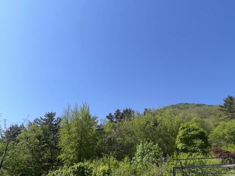 대구와 경북, 대기 건조 속 낮과 밤 기온차 커…내일 경북 일부 소나기