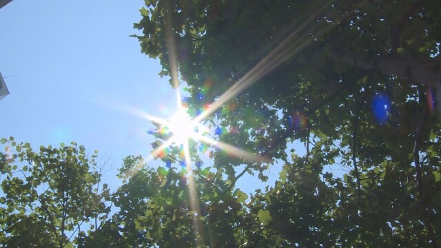 대구·경북, '낮 27도' 초여름 더위 속 건조주의보