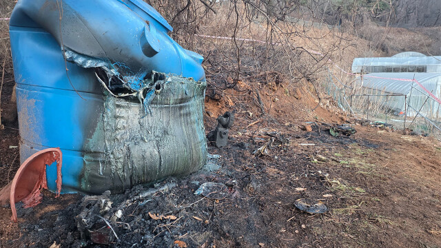 산불 발생 위험 높아져···위기 경보 '경계'로 상향