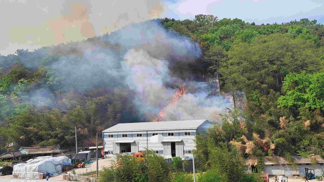 경북 고령서 산불···1.2㏊ 불에 타
