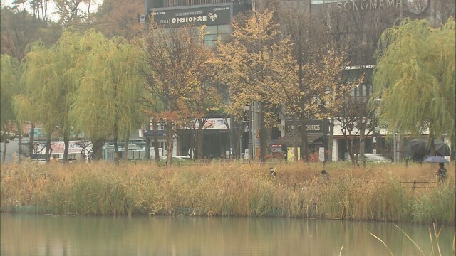 대구·경북 목요일 아침 쌀쌀···늦은 밤 비