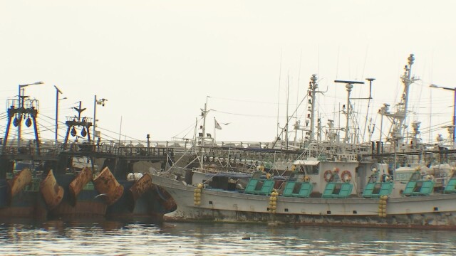 연근해 어업 생산량 10년째 감소···2026년도 하락 전망