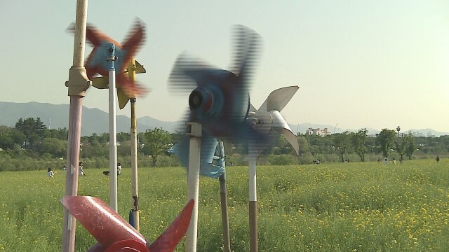 대구·경북 토요일 '건조' '대체로 흐림'···일요일~월요일 '비'