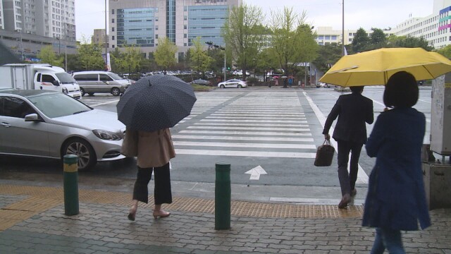 대구·경북 밤까지 비…낮 기온 평년보다 7도 낮아 '서늘'
