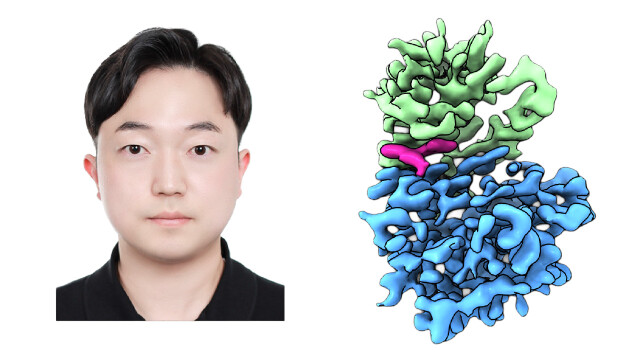영남대 김동영 교수팀 "초저온 전자현미경으로 '초소형 단백질' 구조 세계 최초 규명"