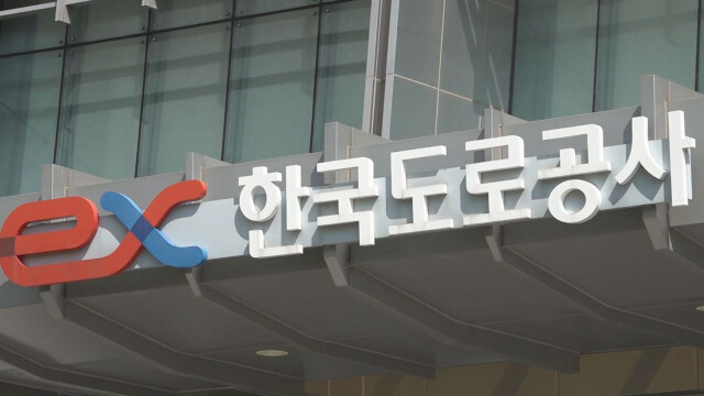 고속도로 동물사고 5~6월 집중···“새벽 운전 특히 위험”