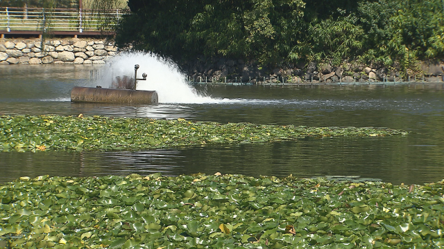 낮 기온 27도 안팎까지...내일과 모레 비 5~30mm