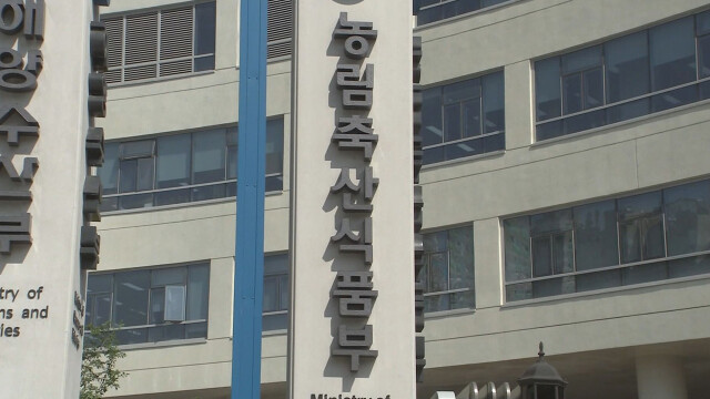 배추·무·양파 가격 하락···정부, 비축 확대·출하 조절