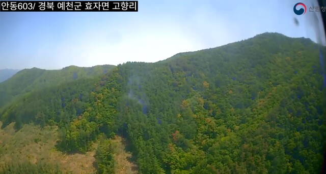 예천군 효자면 산불...1시간 10여 분 만에 진화