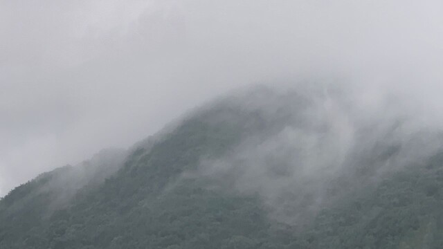 경북 영주국유림관리소, 봄철 산림 불법행위 17건 적발