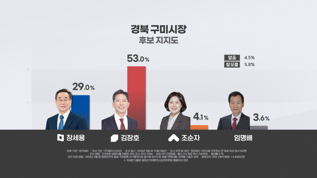 [대구MBC] 경북 구미시장 여론조사, 김장호 53%·장세용 29%···김장호 오차범위 밖 '우세'