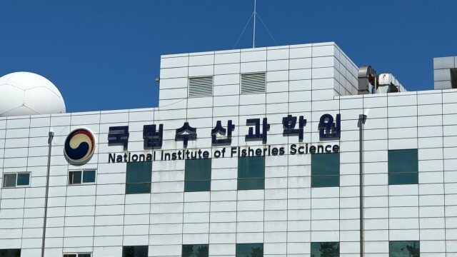 고수온에 해파리 대량 출현 우려
