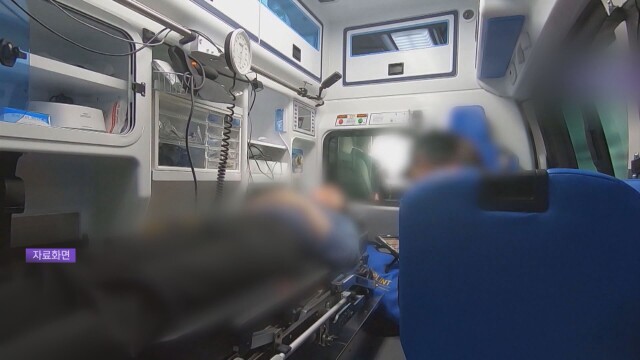 제조 작업하던 70대 여성, 뱀에게 물려 병원 이송