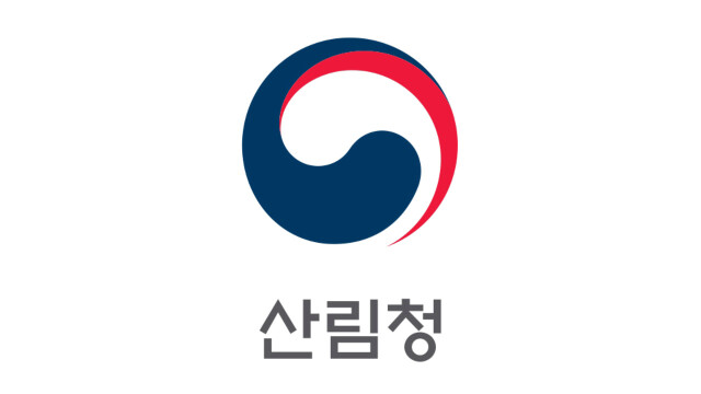 산불 피해 송이산 복원 기대···송이 접종묘 대량생산 실증