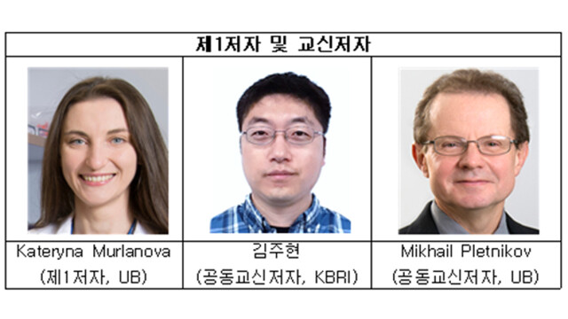 한국뇌연구원, 뇌 인지 기능 유지하는 'NPAS3' 단백질 작동 원리 규명