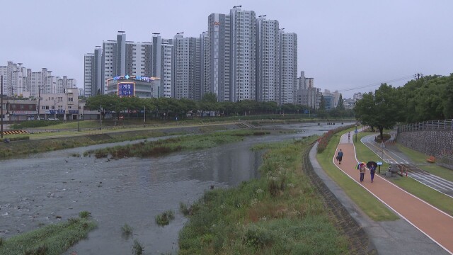 대구·경북 최대 30mm 소나기···주말 흐리고 비