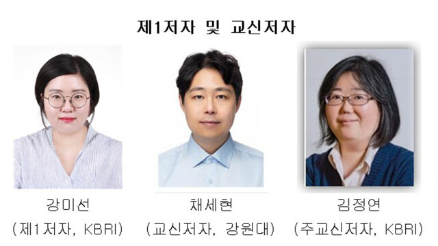 "하루만 혼자 있어도 '아는 개체' 더 찾게 돼"