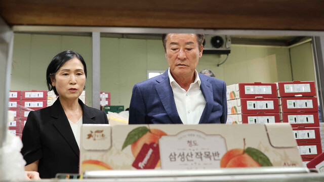 경북 청도군에서 생산한 복숭아, 동남아시아로 수출 늘려