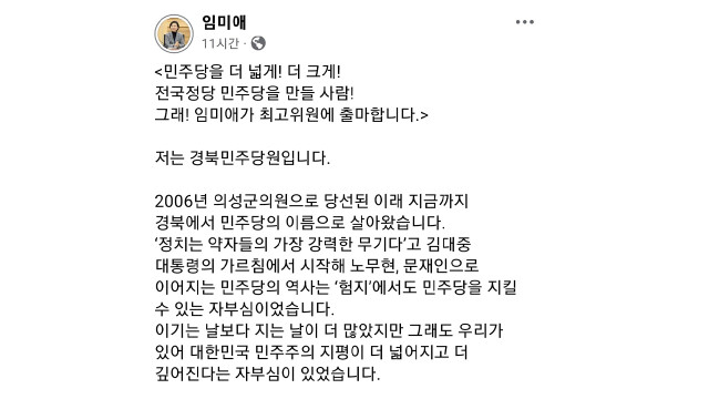 민주당 임미애, 최고위원 출마 선언···"영남 품는 전국 정당 만들 것"