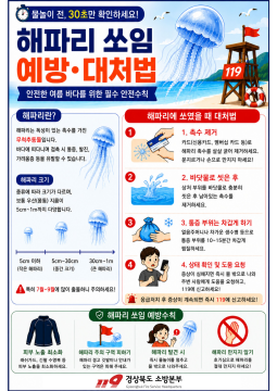 경북소방본부 "해파리 쏘임 조심하세요···발견하면 안전한 곳으로 이동해야"