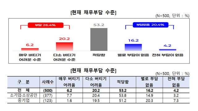 소상공인·중소기업 4곳 중 1곳 "채무 부담 버겁다"