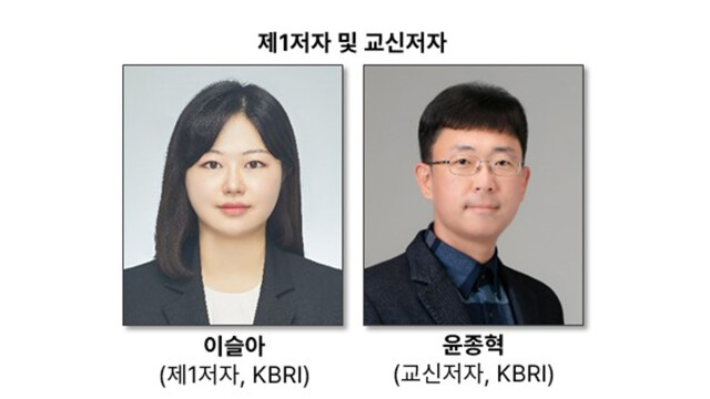 한국뇌연구원, 심혈관 치료 약물 '파킨슨병 치료 효과' 확인