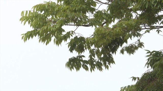대구·경북 한낮 30도 안팎···경북 동해안·북동 산지 비