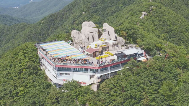 대구시, 팔공산·비슬산·대니산 '3층 이하' 고도지구 폐지 추진
