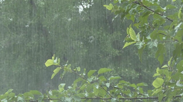 대구·경북 폭염 속 소나기···금요일도 최대 80mm 비