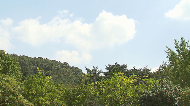대구·경북 당분간 맑음···낮 최고 24~29도 분포