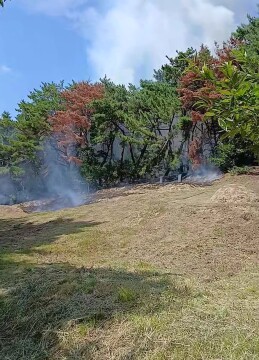 대구 달성군 옥포에 산불..주불 진화