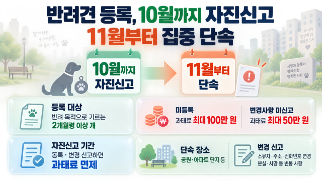 10월까지 동물 등록 자진신고 기간···미등록 과태료 면제